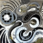 Zoom